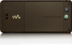 w880 achterkant classic goud