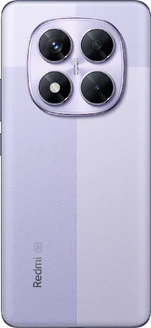 Lavender Purple