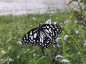 5e39igbvjkc maxresdefault