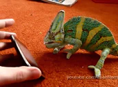 6fwujjf1ai0 maxresdefault