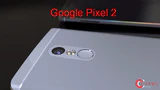 Google Pixel Watch