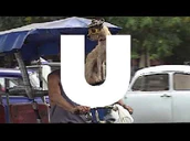 Wpx3dwqoxiy hqdefault