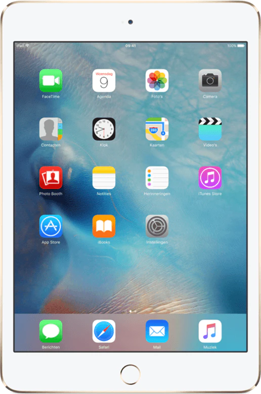 Apple iPad mini 4 WiFi