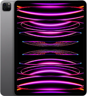 Apple iPad Pro 12.9 (2022) (A2437)