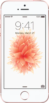 Apple iPhone SE (A1662)