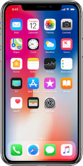 Apple iPhone X (A1865)