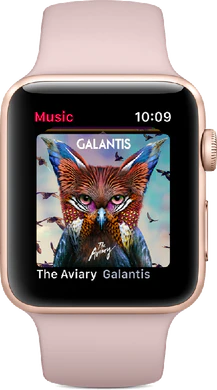 Apple Watch Series 3 4G