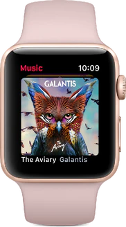 Apple Watch Series 3 4G