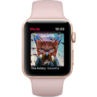 Apple Watch Series 3 38mm