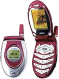 Bird SC24
