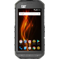 Cat S31