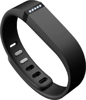 Fitbit Flex