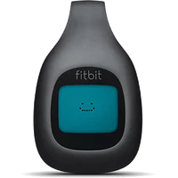 Fitbit Zip