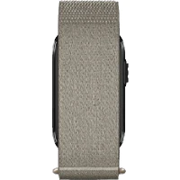 Garmin Cirqa Smart Band