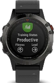 Garmin fenix 5