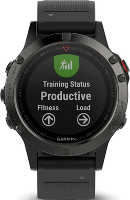 Garmin fenix 5