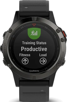 Garmin fenix 5