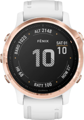 Garmin fenix 6S Pro 42mm