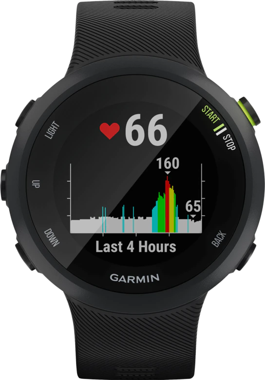 Garmin Forerunner 45