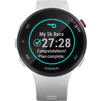 Garmin Forerunner 45S