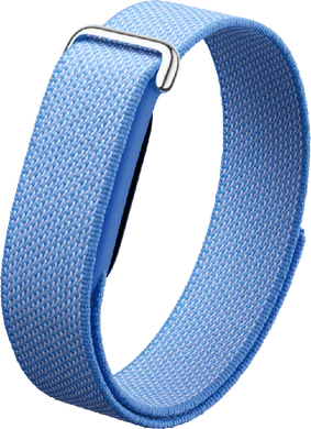 Fitbit Air