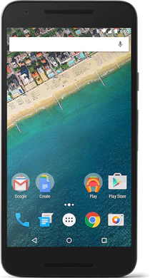 Google Nexus 5X (H791F)