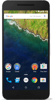 Google Nexus 6P (H1512)