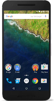 Google Nexus 6P (H1512)