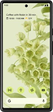 Google Pixel 6 (GB7N6)