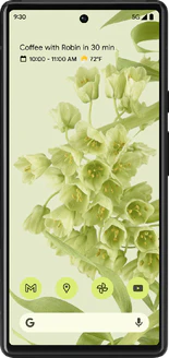 Google Pixel 6 (GB7N6)