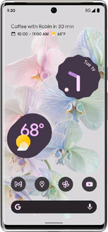 Google Pixel 6 Pro (GLUOG)
