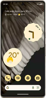 Google Pixel 7 Pro (GP4BC)