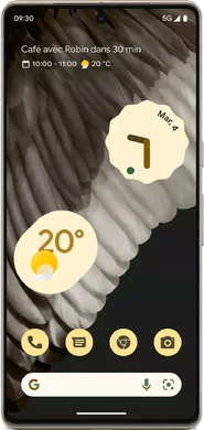 Google Pixel 7 Pro (GP4BC)