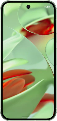 Google Pixel 9 (GUR25)