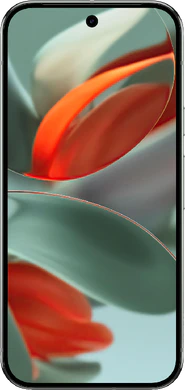 Google Pixel 9 Pro (GEC77)