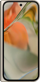 Google Pixel 9 Pro Fold (G9FPL)