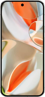 Google Pixel 9 Pro XL (GZC4K)
