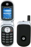 Motorola V176