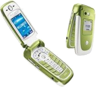 Motorola V360 Special Edition Celery