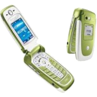Motorola V360 Special Edition Celery