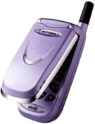 Motorola V51