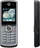 Motorola W181