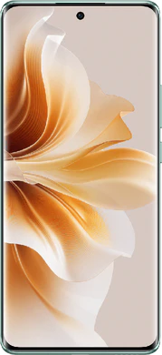 Oppo Reno11 (PJH110)