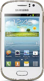 Samsung Galaxy Fame NFC S6810P