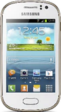Samsung Galaxy Fame S6810 (GT-S6810PWNDBT)