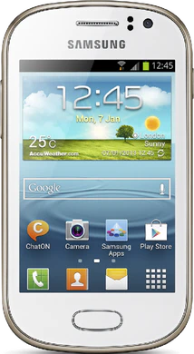 Samsung Galaxy Fame S6810 (GT-S6810PWNDBT)