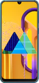 Samsung Galaxy M30s (M307)