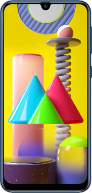 Samsung Galaxy M31 (M315)