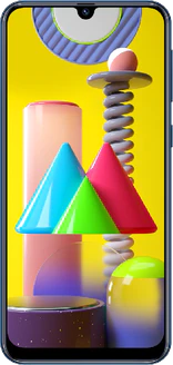Samsung Galaxy M31 (M315)