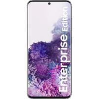 Samsung Galaxy S20 4G Enterprise Edition